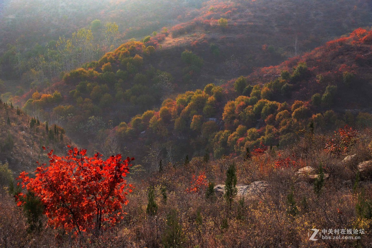 秋尽冬来，景色依然。