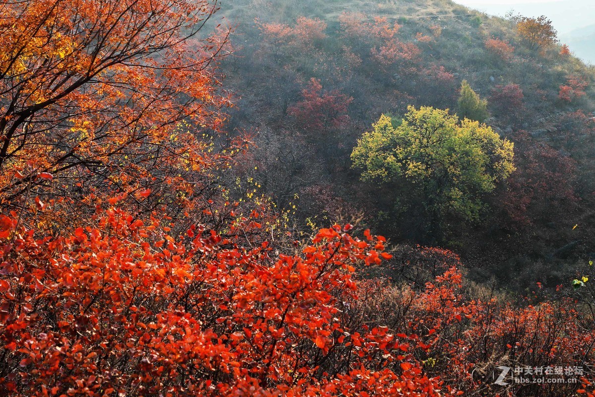 秋尽冬来，景色依然。