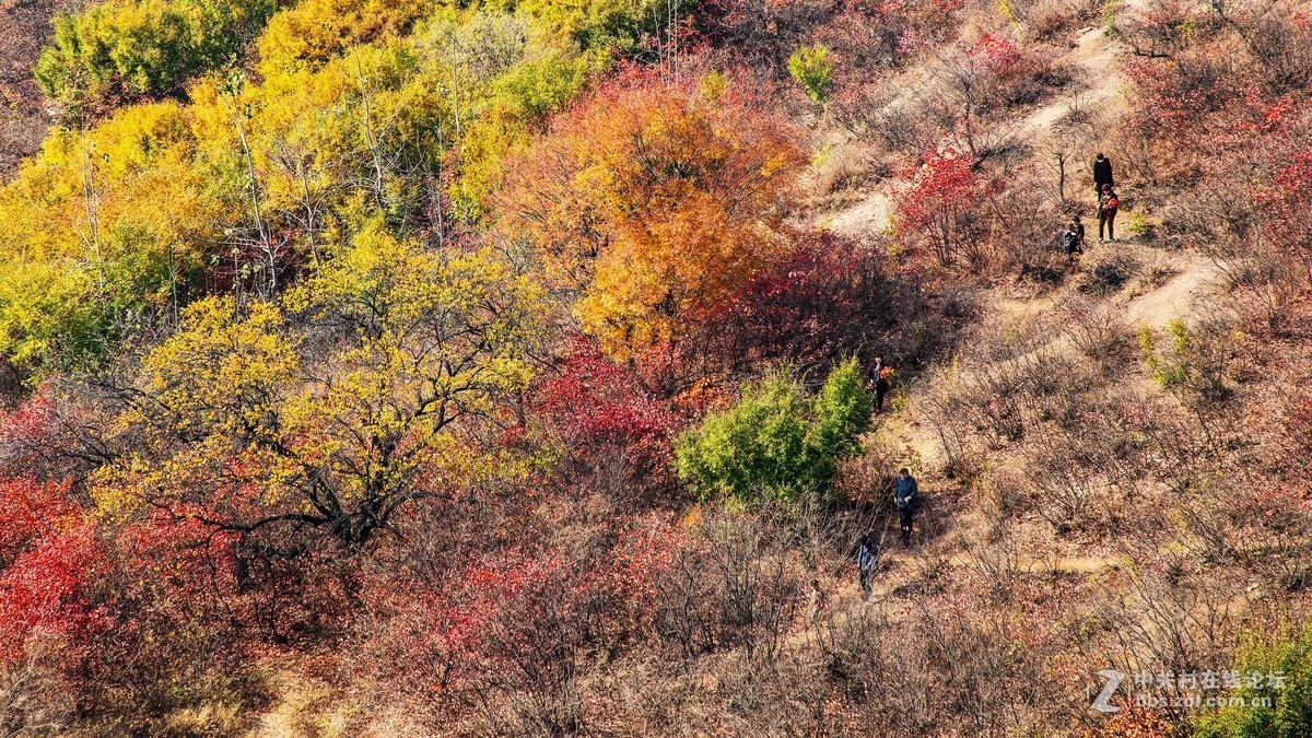 秋尽冬来，景色依然。