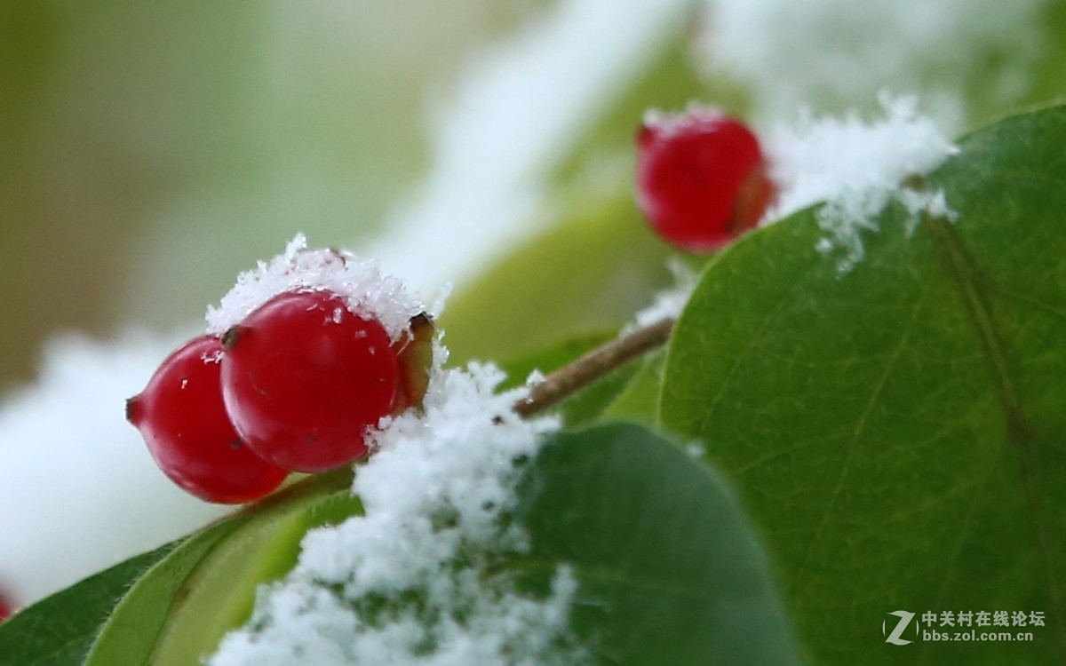 第一次拍摄那雪景
