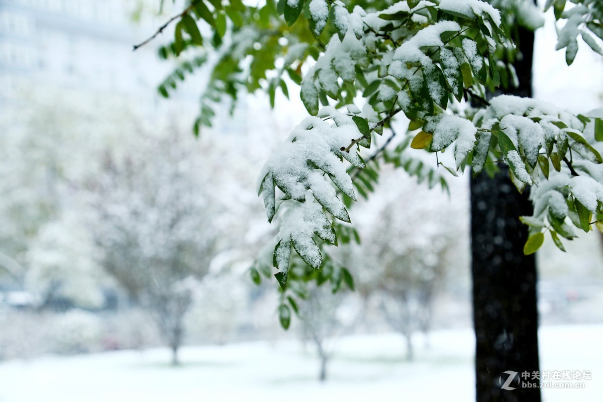 第一次拍摄那雪景
