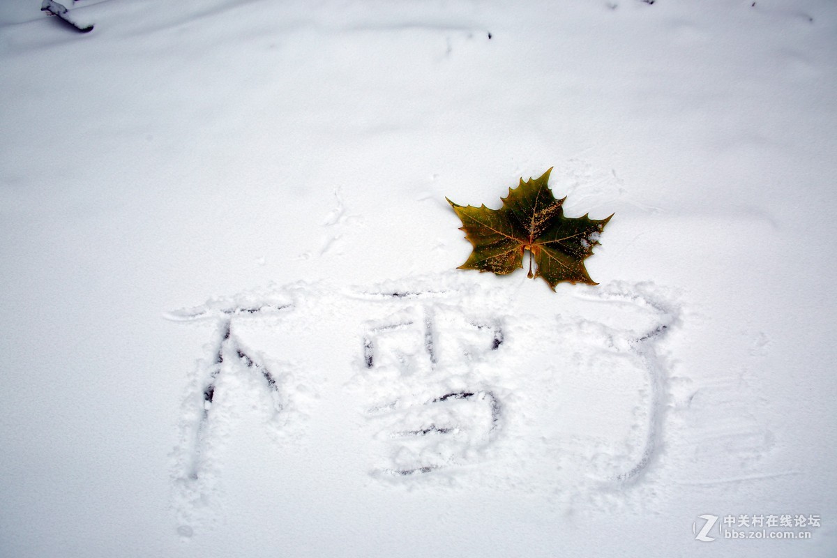 第一次拍摄那雪景