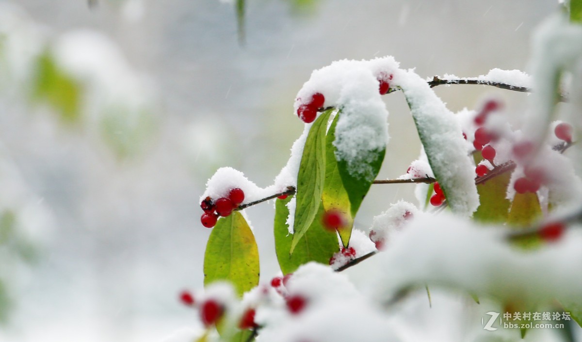 第一次拍摄那雪景