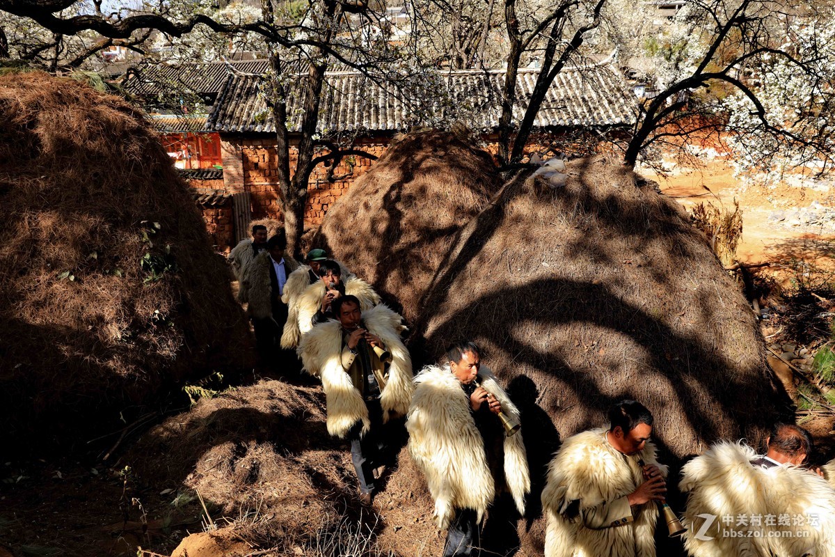 古老村落的梨园新曲