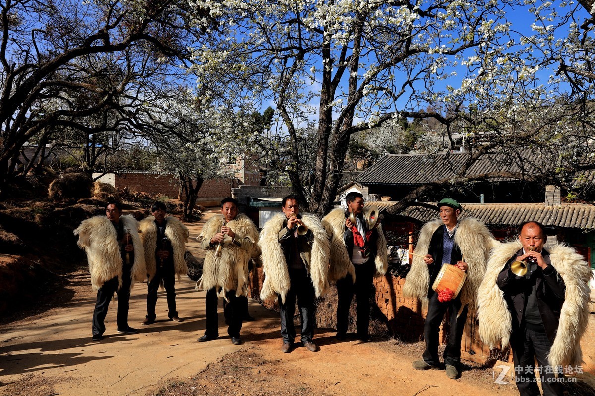 古老村落的梨园新曲