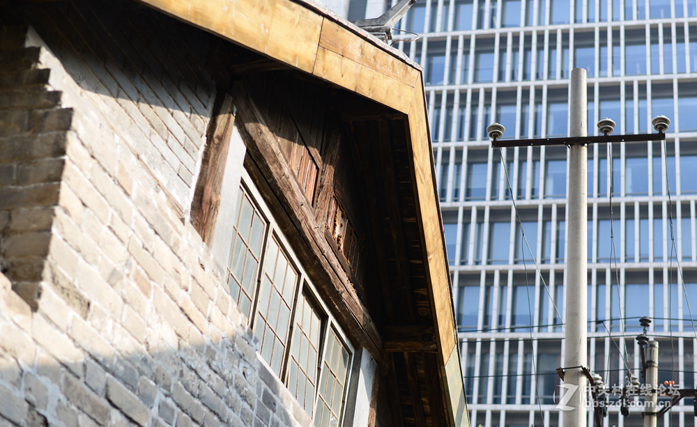 焦内清晰艳丽，焦外却柔美的一塌糊涂，神马东西啊！