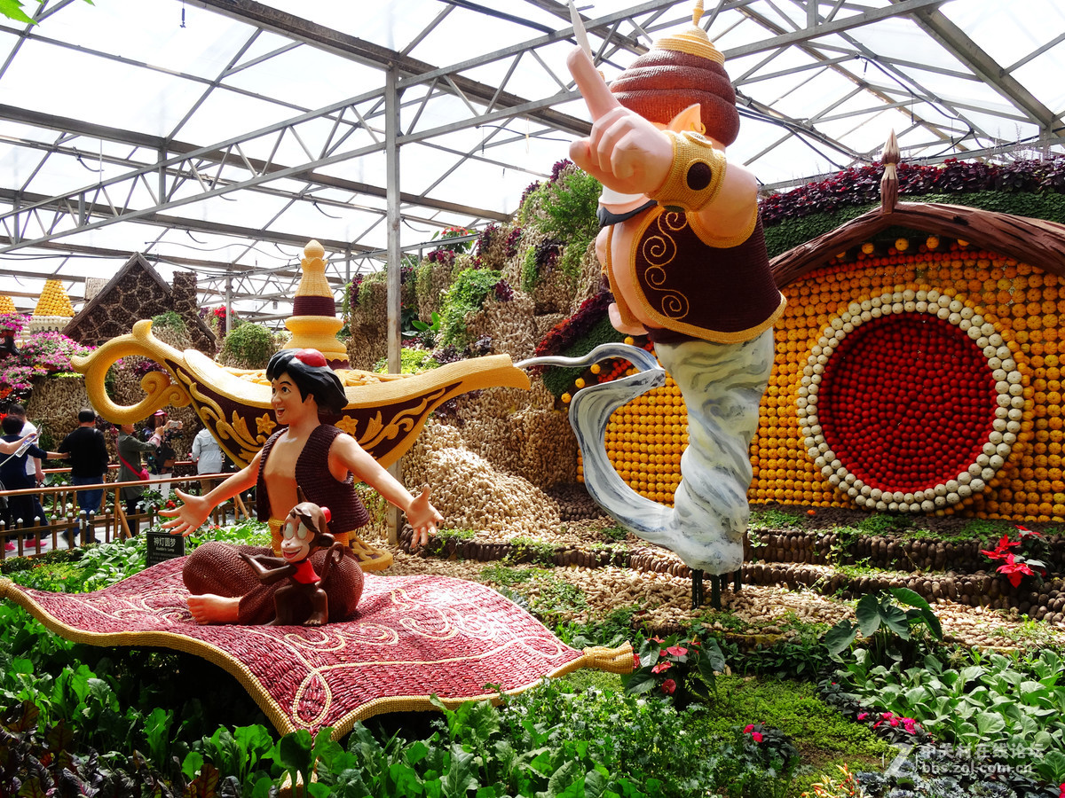 2017潍坊寿光菜博会之三