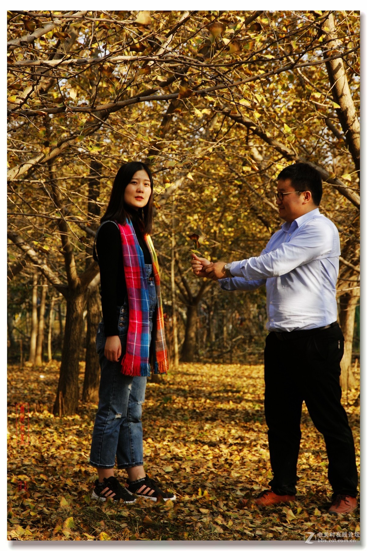 #佳能月赛-一叶知秋#邳州银杏林人像