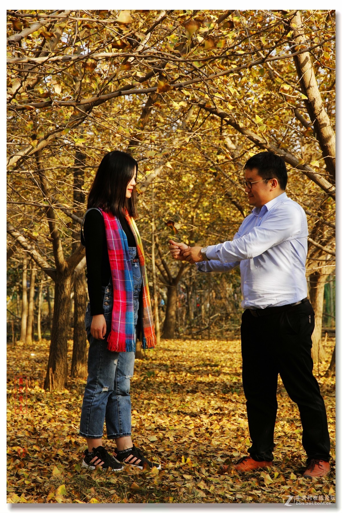 #佳能月赛-一叶知秋#邳州银杏林人像