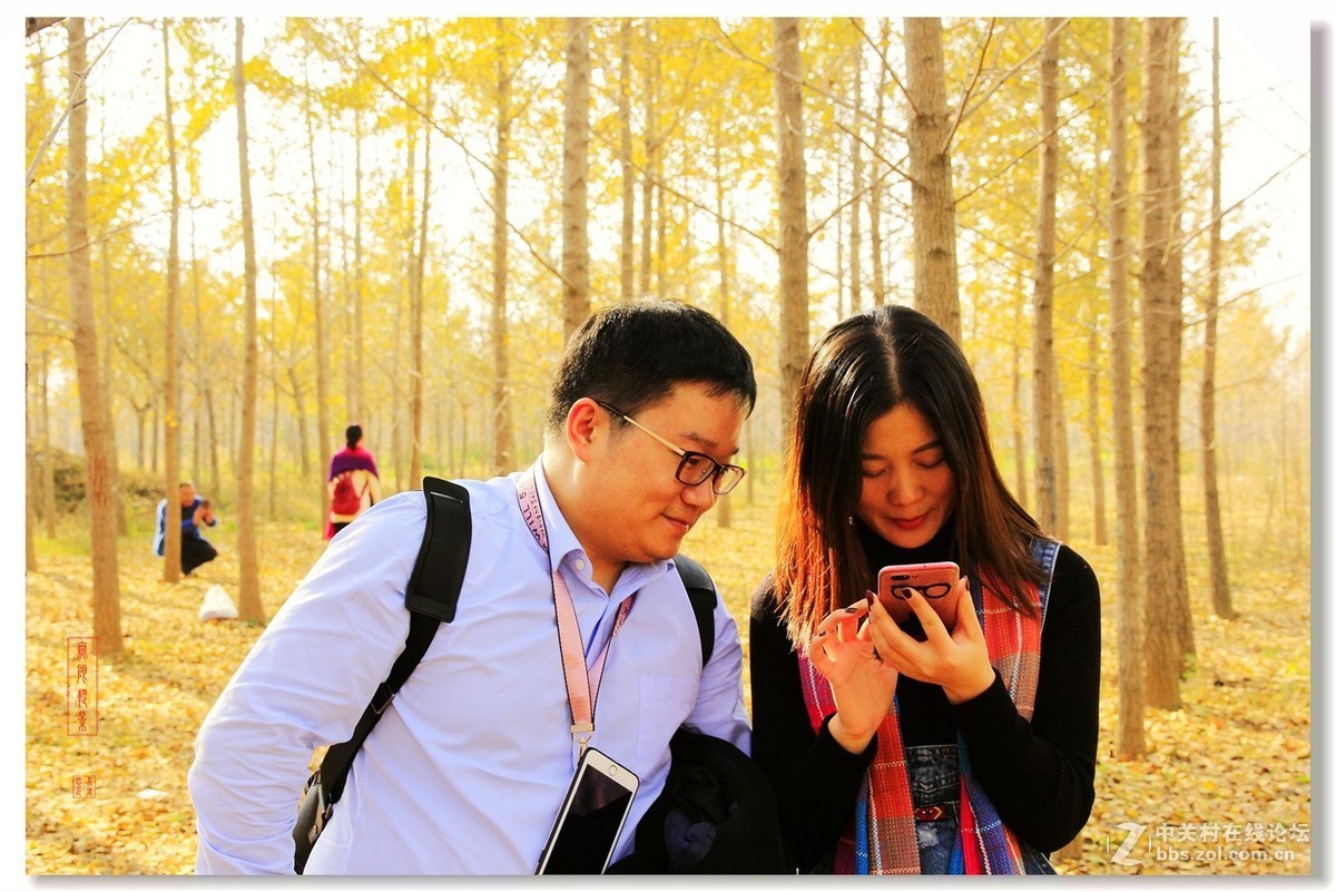 #佳能月赛-一叶知秋#邳州银杏林人像