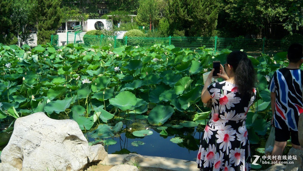 最后一帖 50片《心中的柯达》