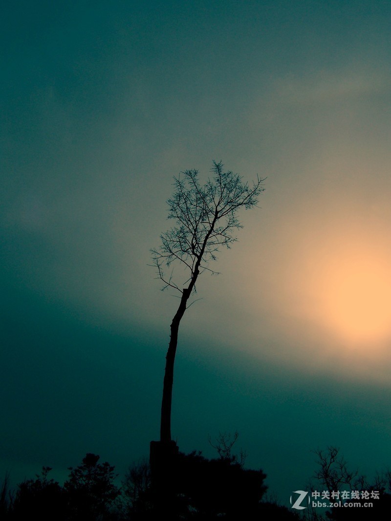 最后一帖 50片《心中的柯达》