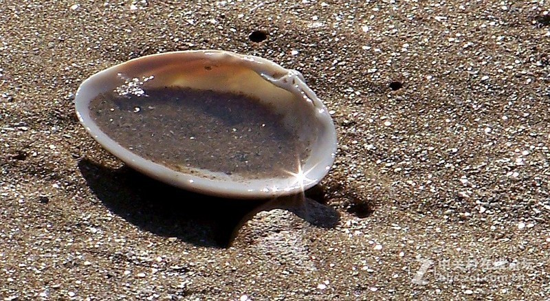 最后一帖 50片《心中的柯达》