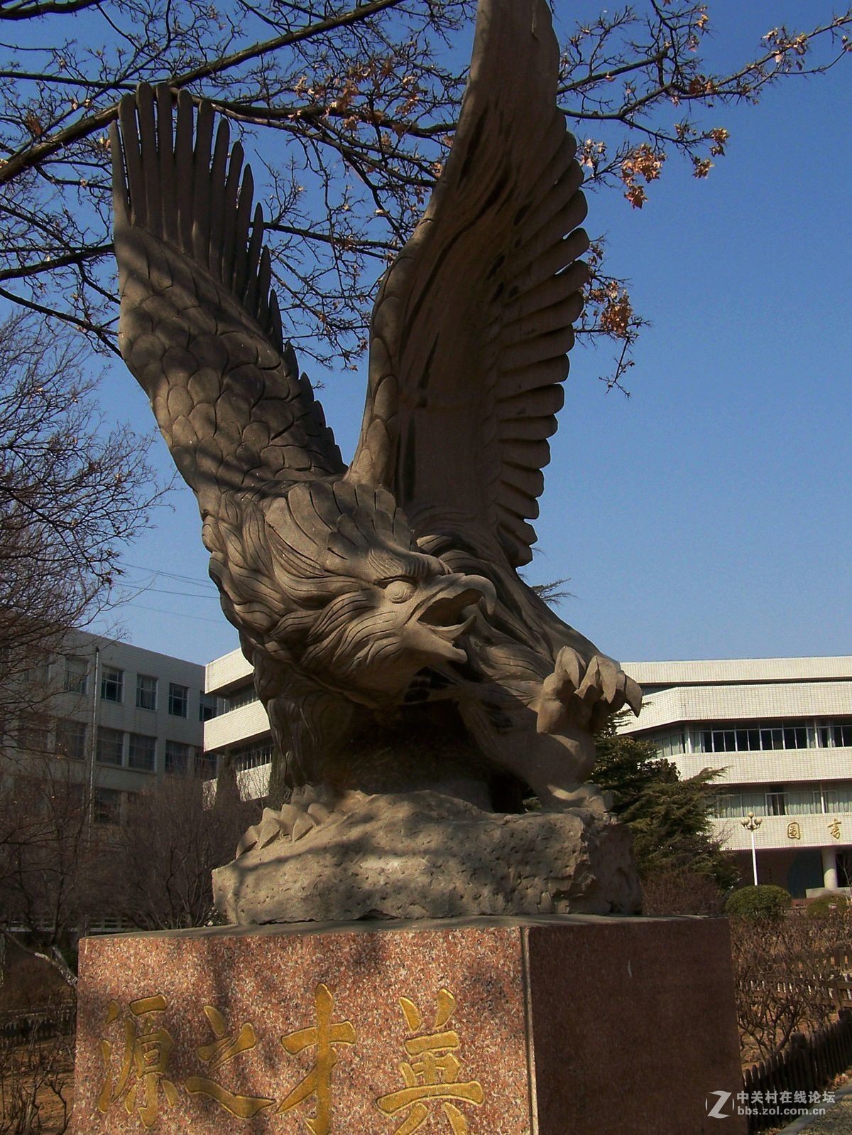 最后一帖 50片《心中的柯达》