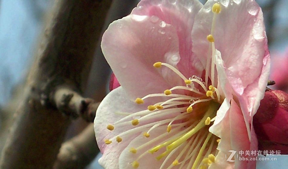 最后一帖 50片《心中的柯达》