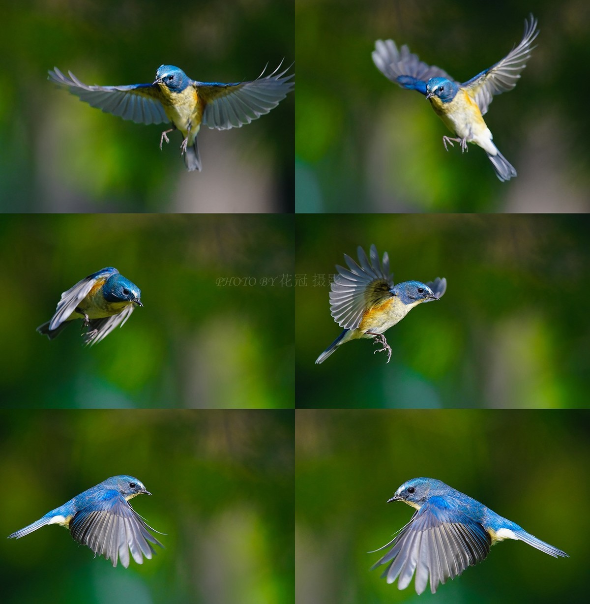 回答摄友选择机型的问题！