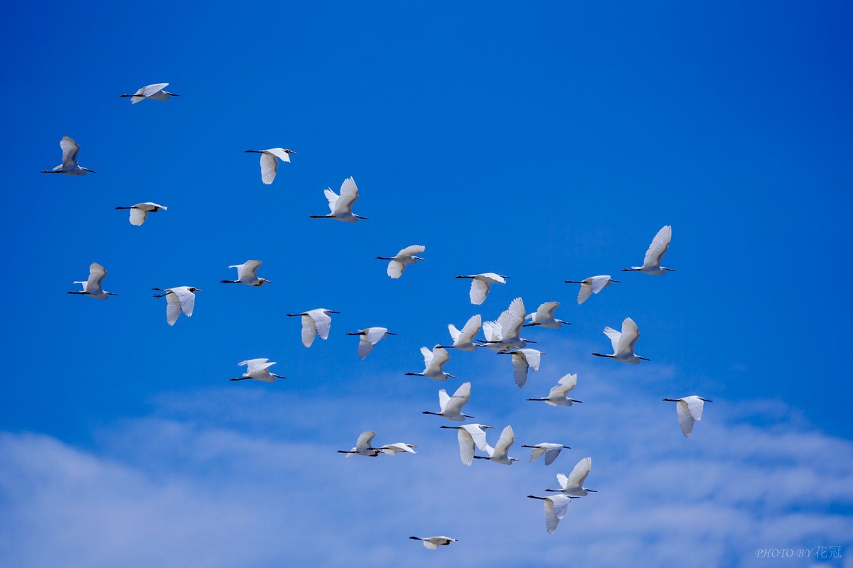 回答摄友选择机型的问题！