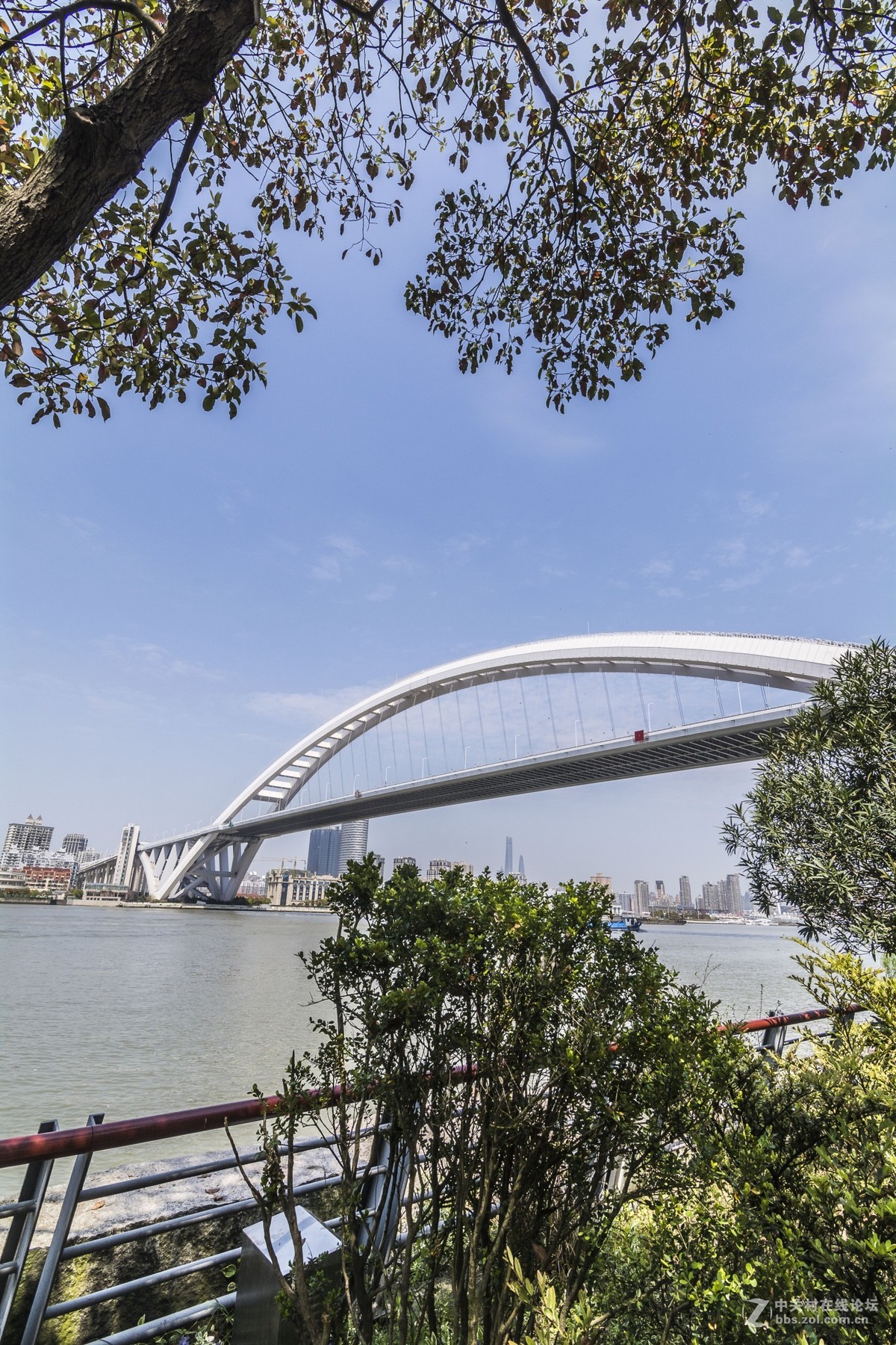 上海后滩花园随摄