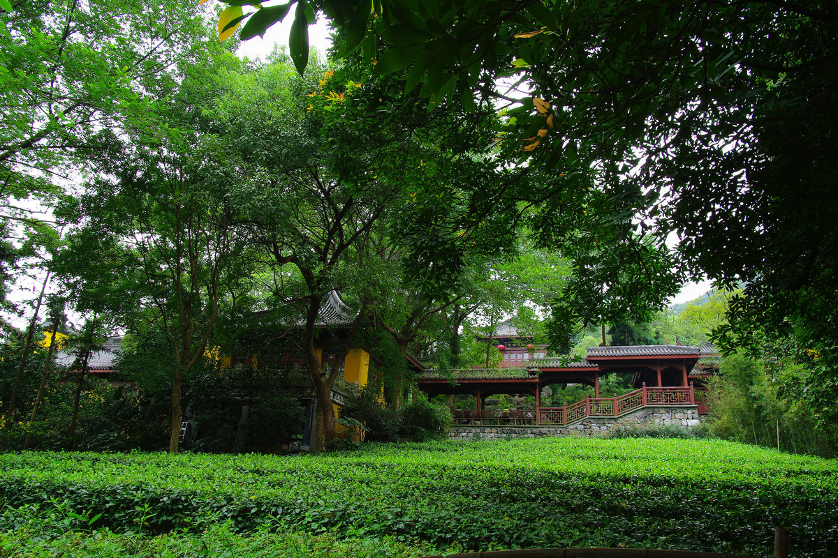 仙灵所隐——灵隐景区（灵隐寺、永福寺）