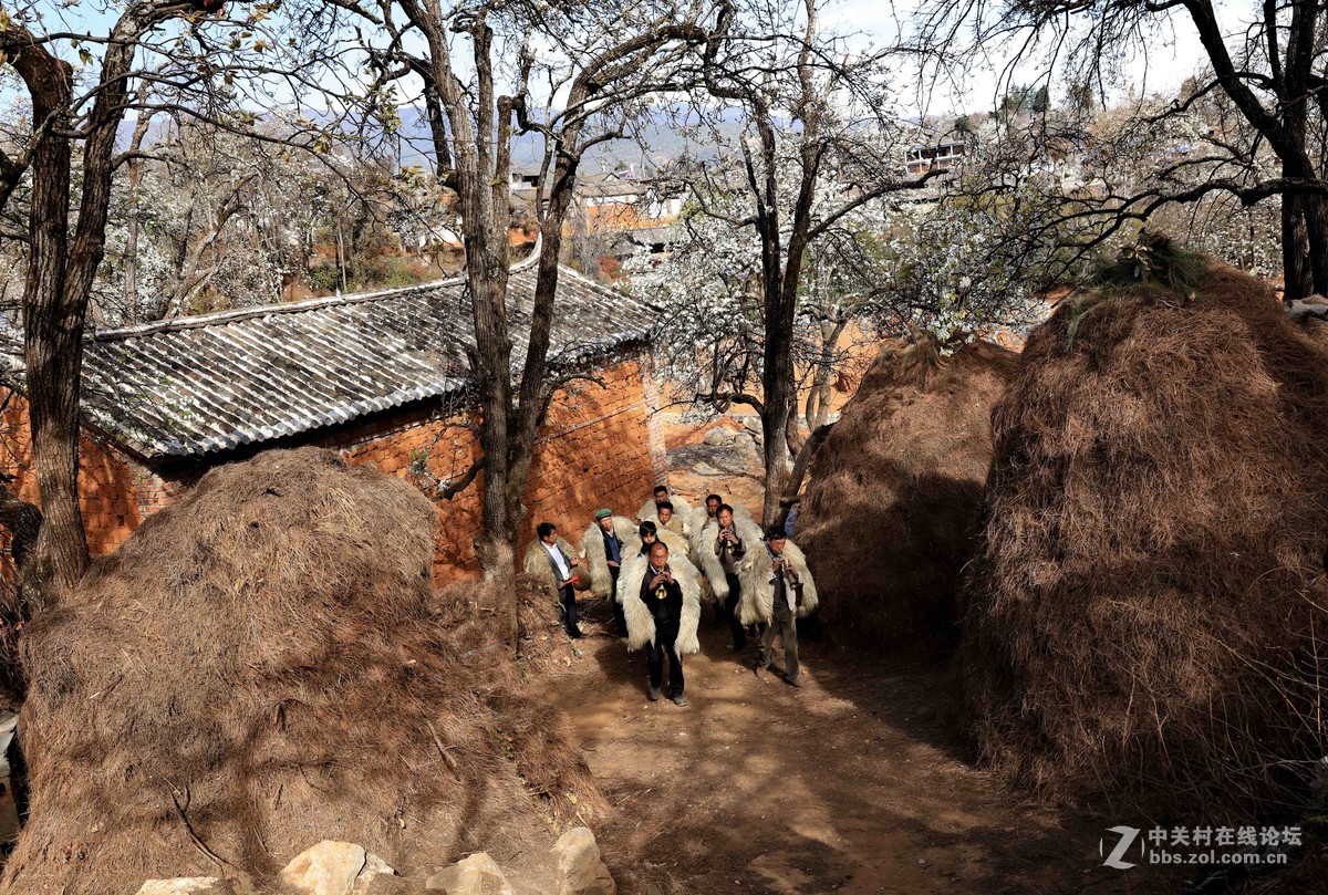 古老村落的梨园新曲