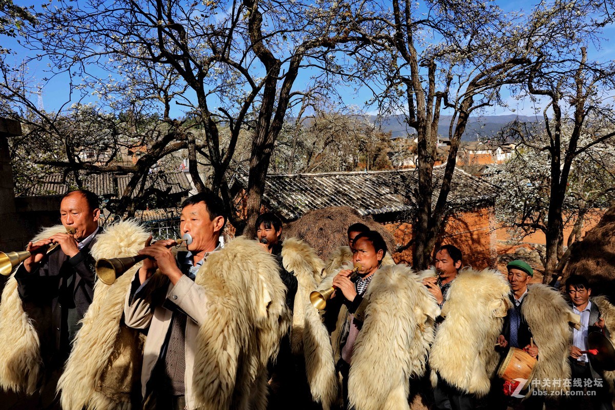 古老村落的梨园新曲
