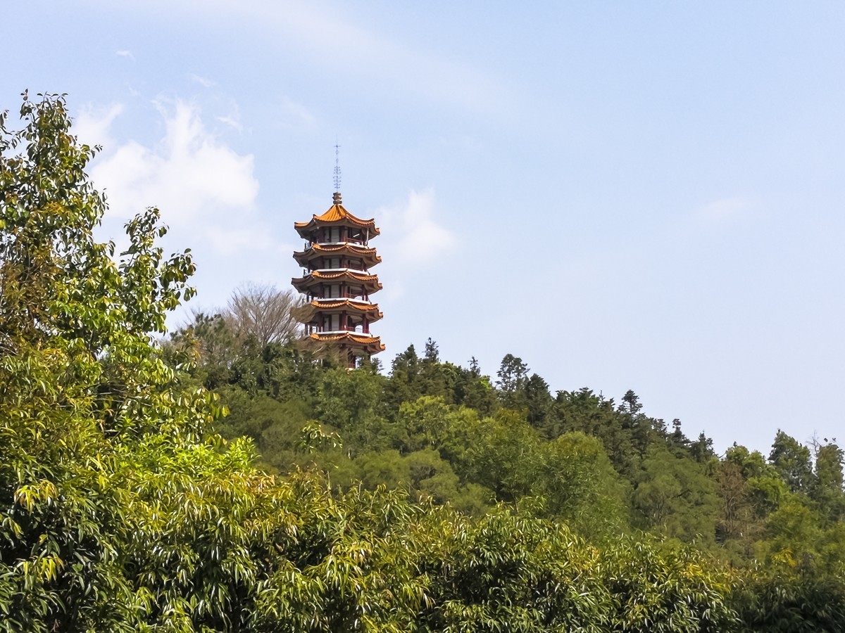 深圳弘法寺掠影