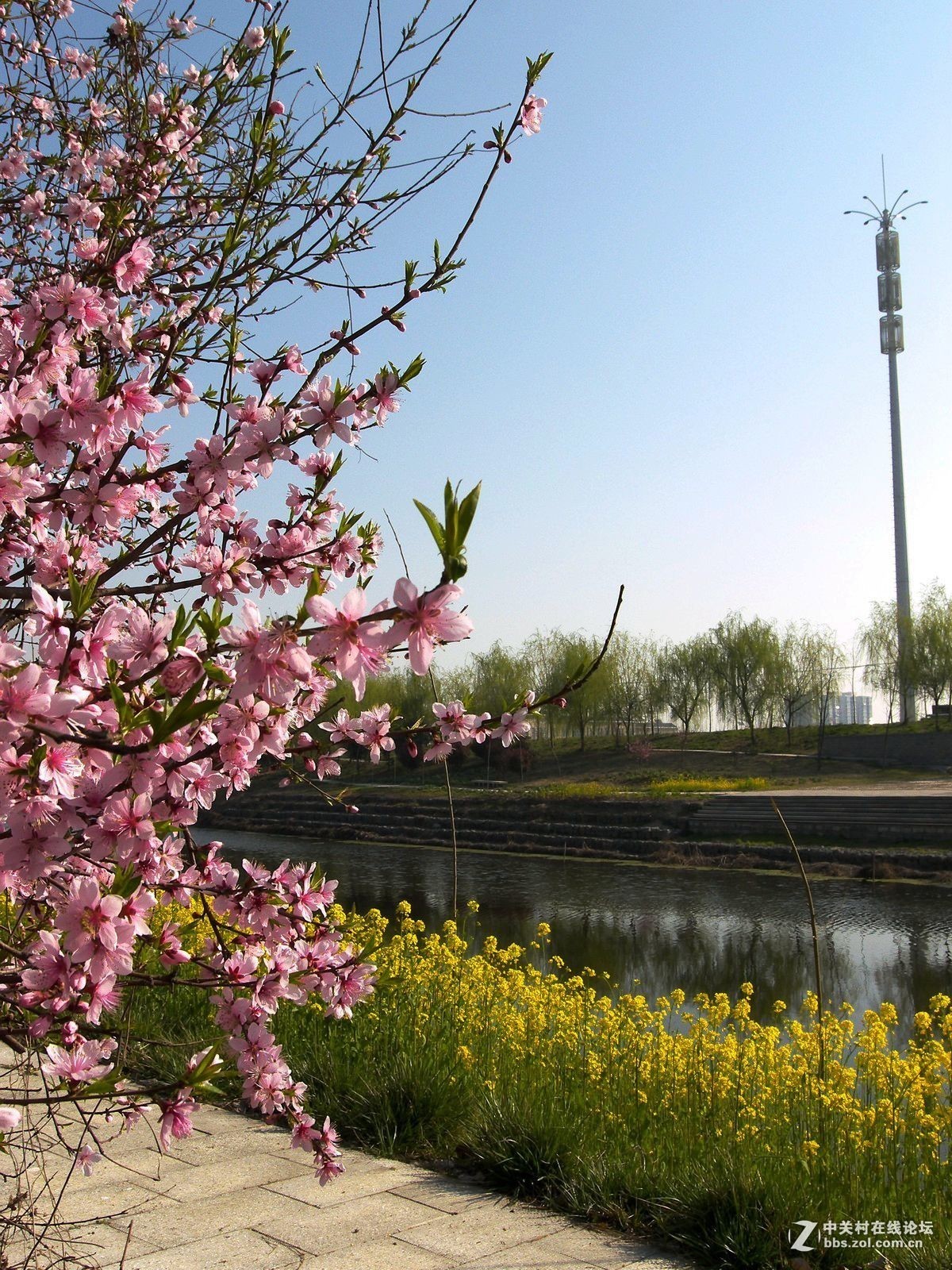 最后一帖 50片《心中的柯达》