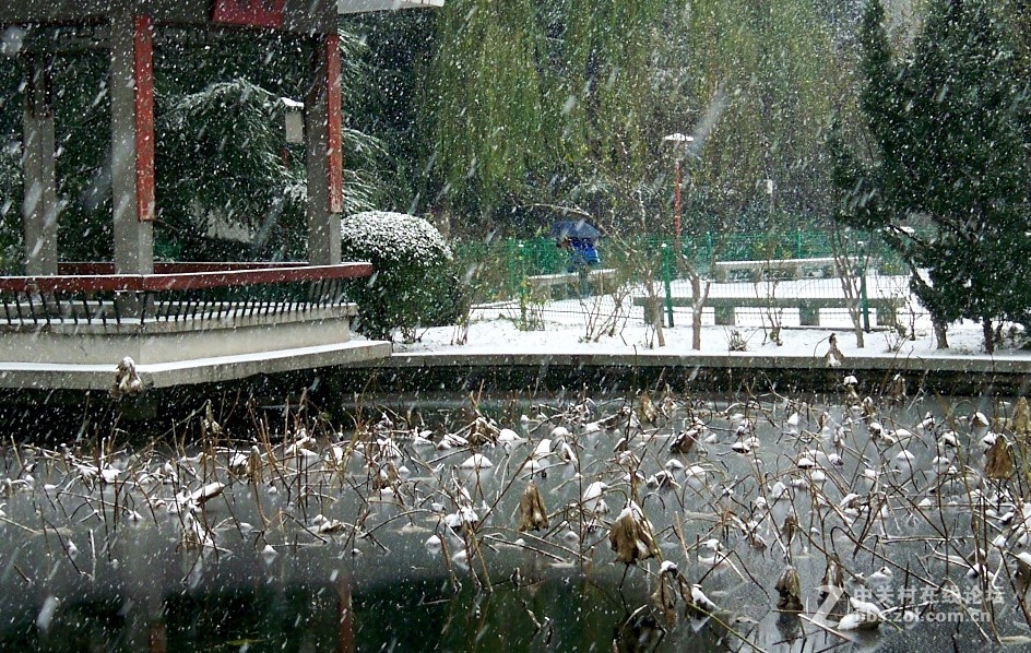 最后一帖 50片《心中的柯达》