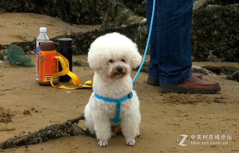 最后一帖 50片《心中的柯达》