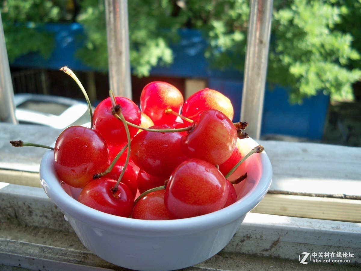 最后一帖 50片《心中的柯达》