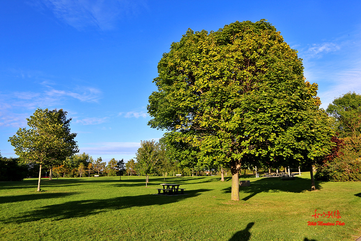 黄昏散步随拍——祝红河星空(中国)开坛