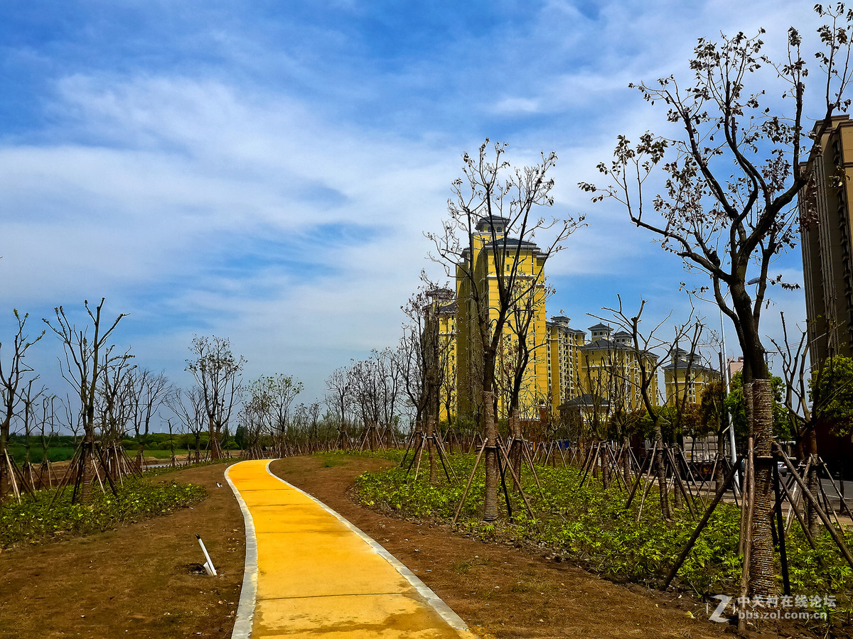 鲁汇郊外手机杂拍