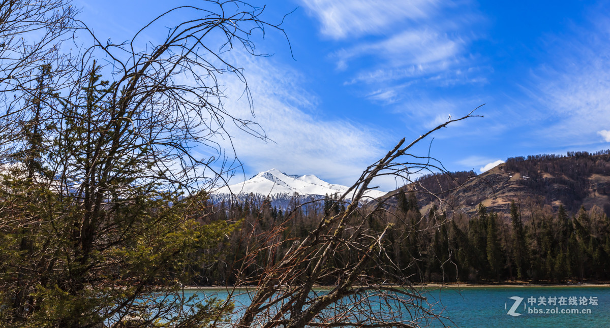 新疆喀纳斯风光【续】