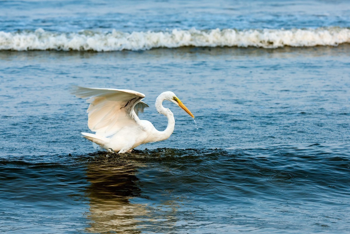 2018年春节-普吉岛游览