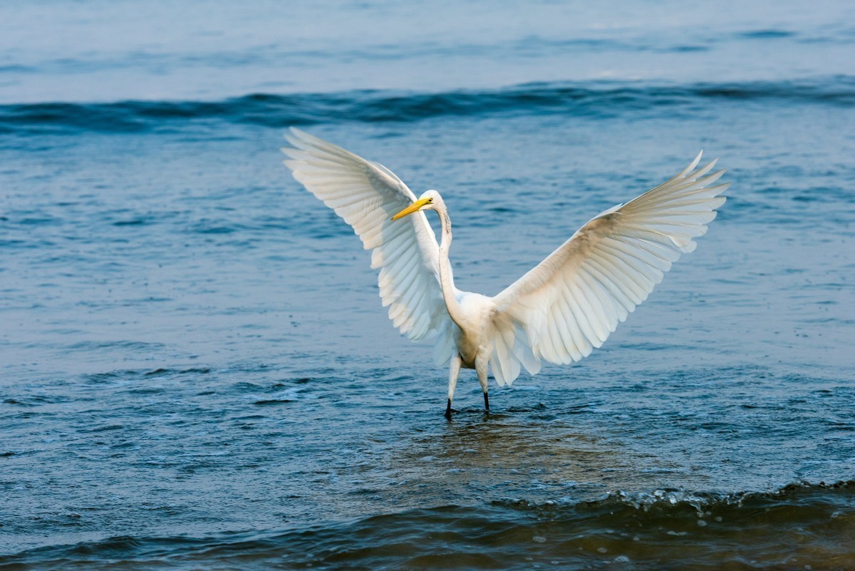 2018年春节-普吉岛游览