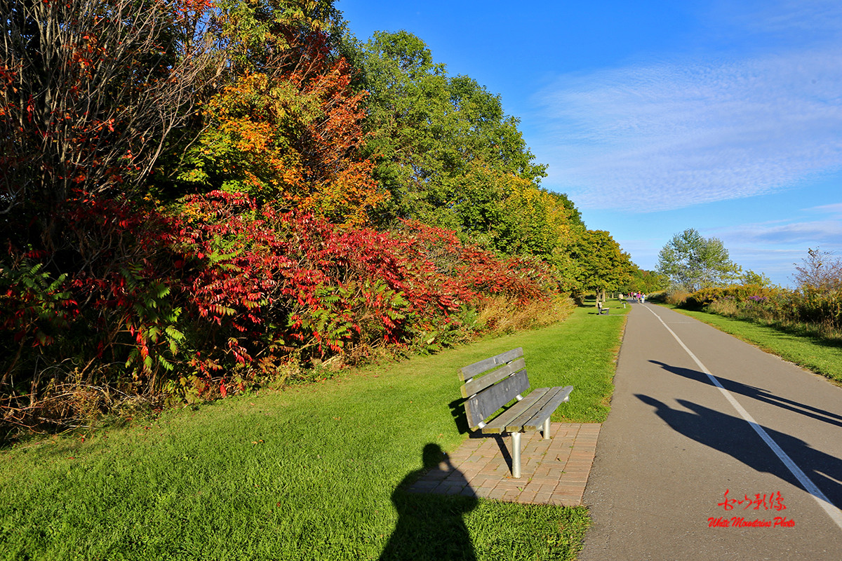 黄昏散步随拍——祝红河星空(中国)开坛