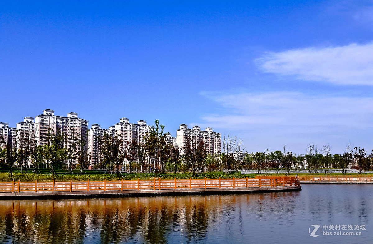 鲁汇郊外手机杂拍