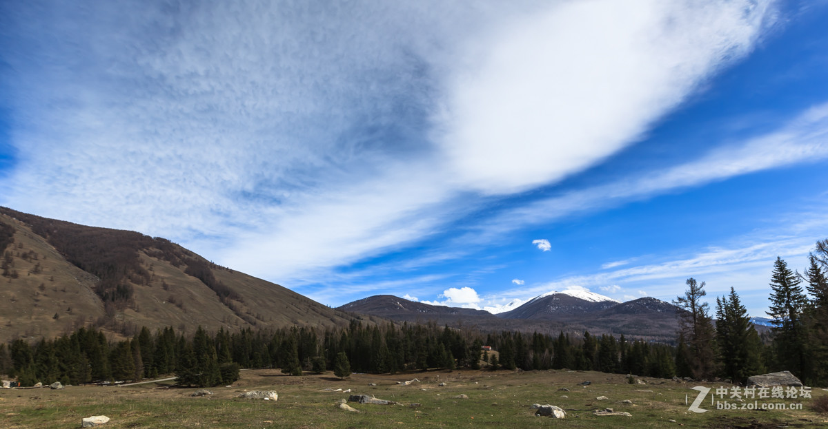 新疆喀纳斯风光【续】
