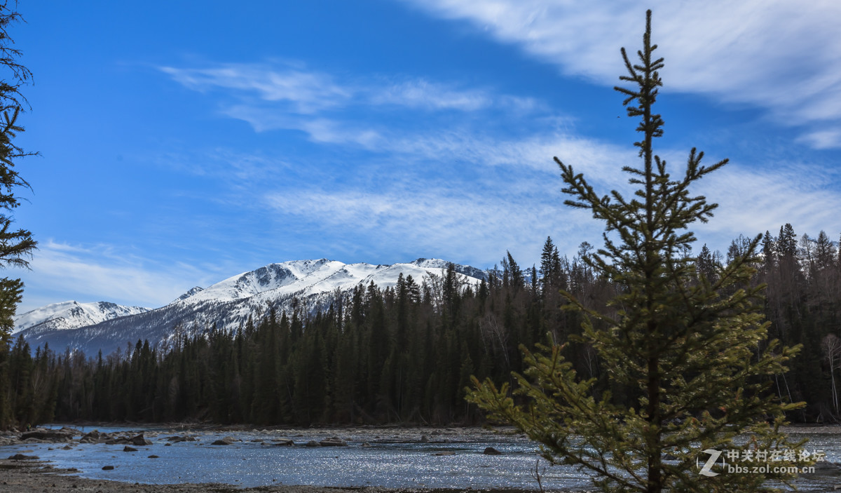 新疆喀纳斯风光【续】