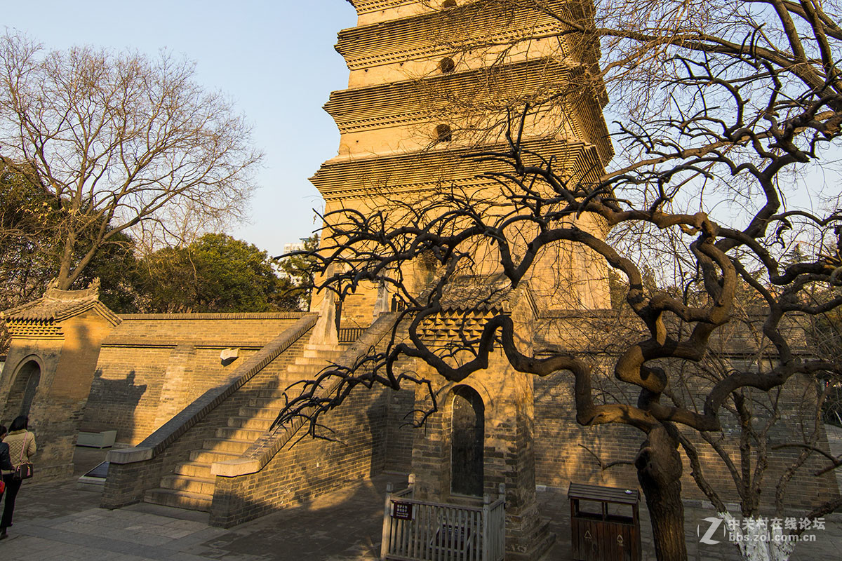 冬日里的西安小雁塔