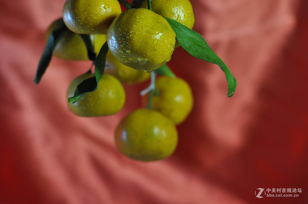 小钢炮与小纸炮之争