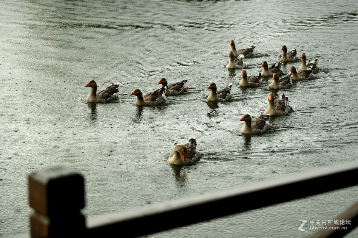 长白山脚下二道白河镇——夜景