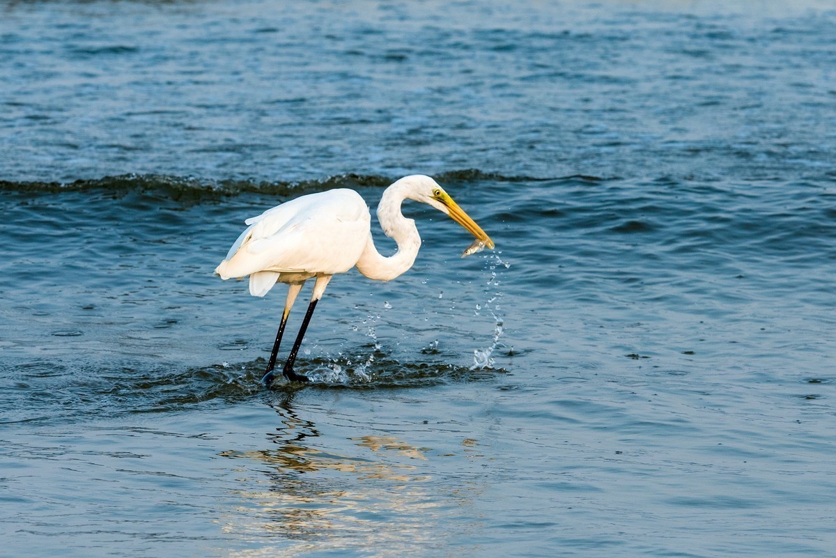 2018年春节-普吉岛游览