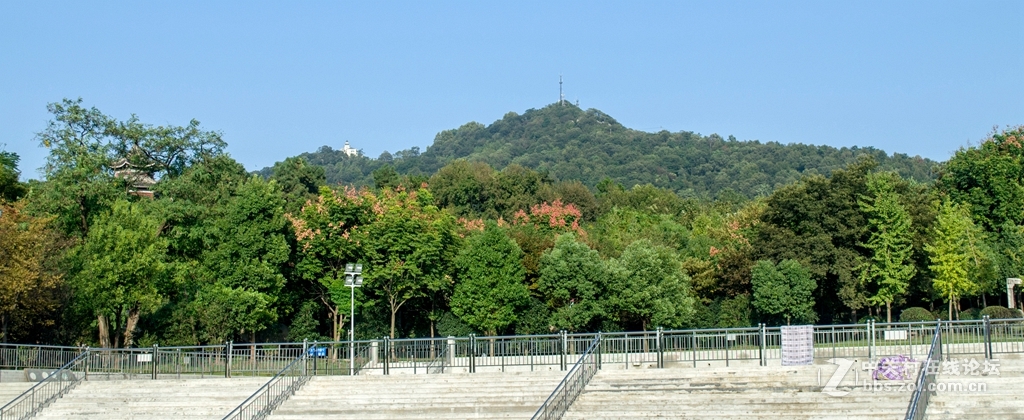 白馬公園裡隨拍紫金山