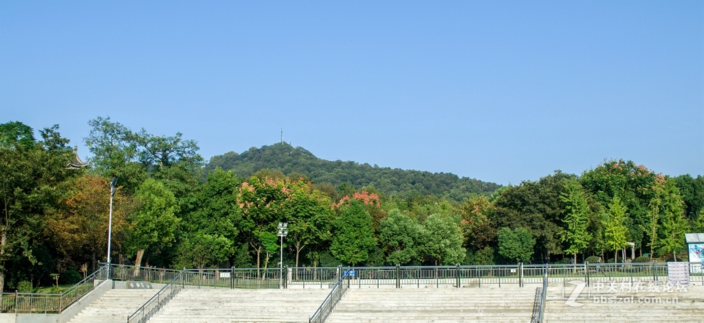 白馬公園裡隨拍紫金山