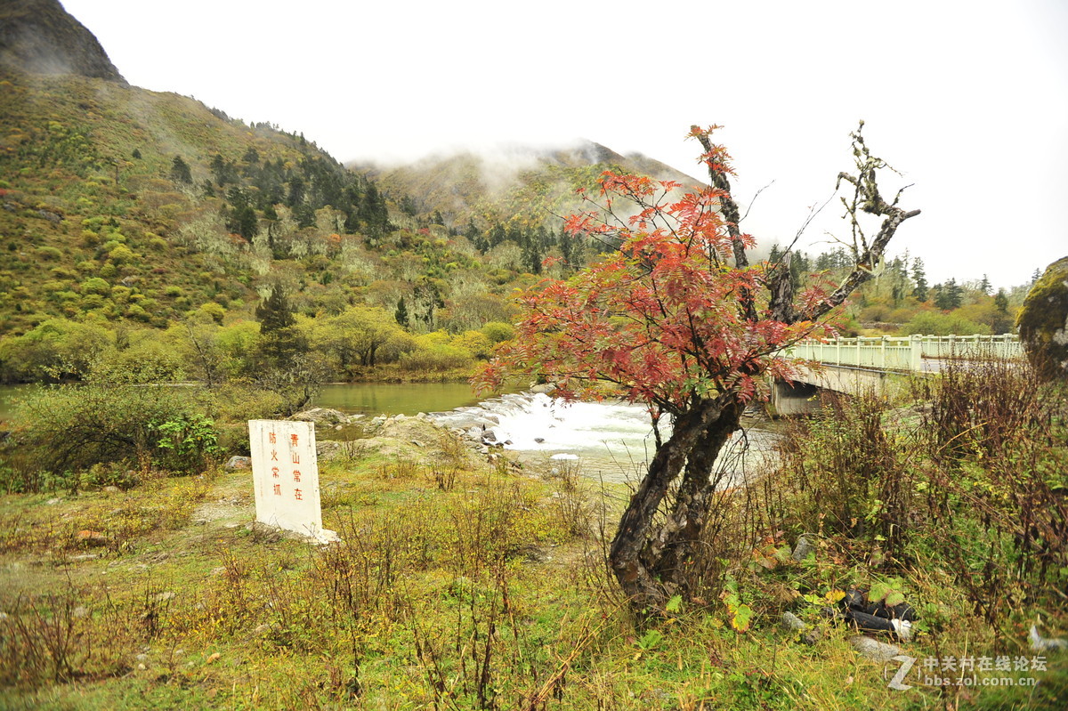 醉美川西 米亚罗 毕棚沟之行 童话世界