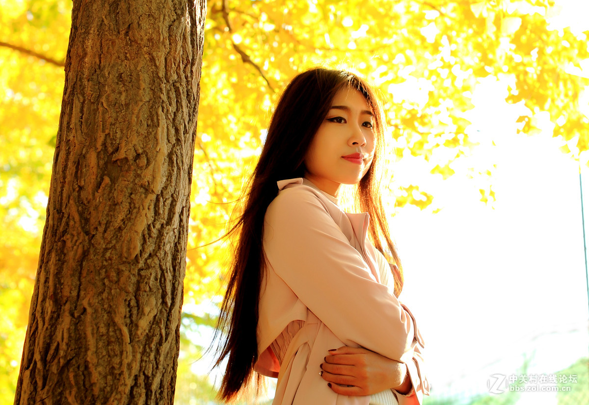 #2015MissChinajoy摄影大赛#《正是落叶时》。