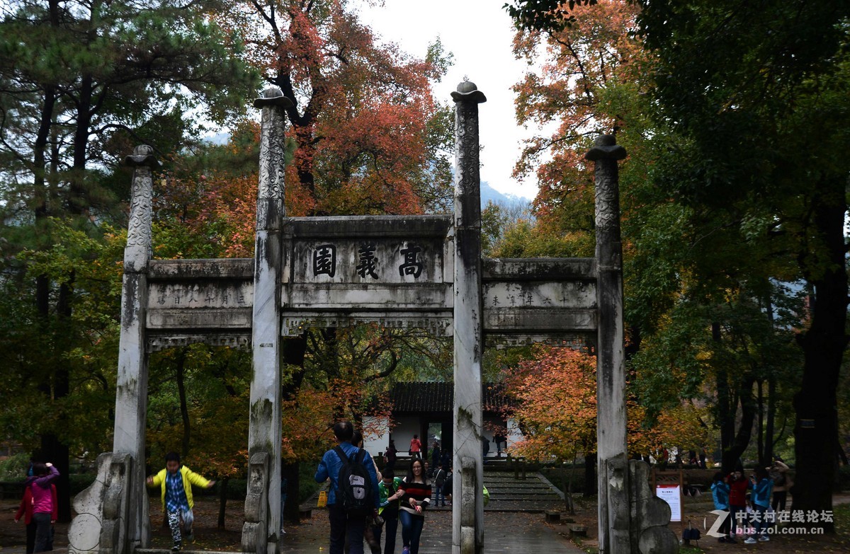 太平山的枫叶红了