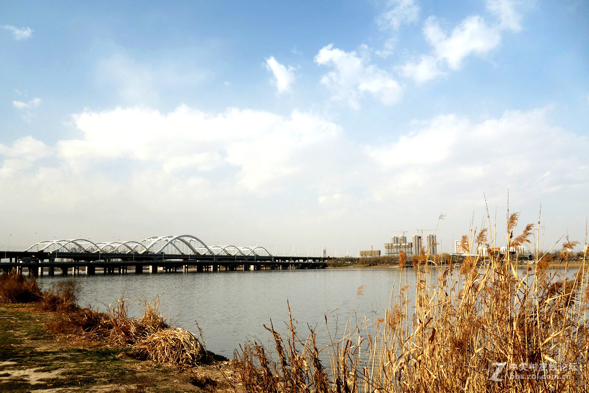 西安灞河老照片图片