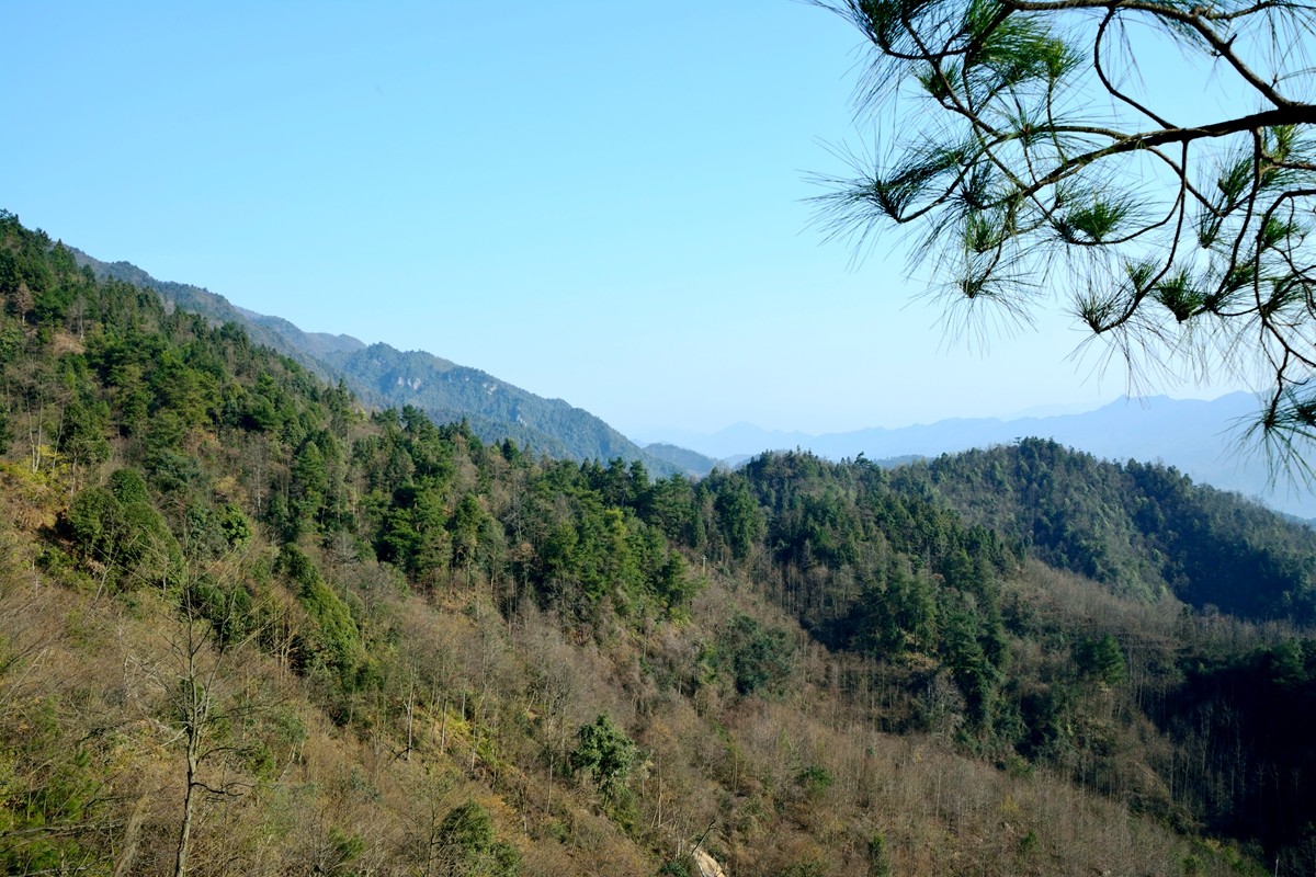 荒山野岭是成语吗图片